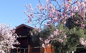Casa La colina mandarina I
